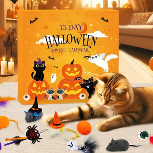 Cat Advent Calendar